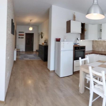 Apartament De Lux Cu Terasa Apartman Temesvár Kültér fotó