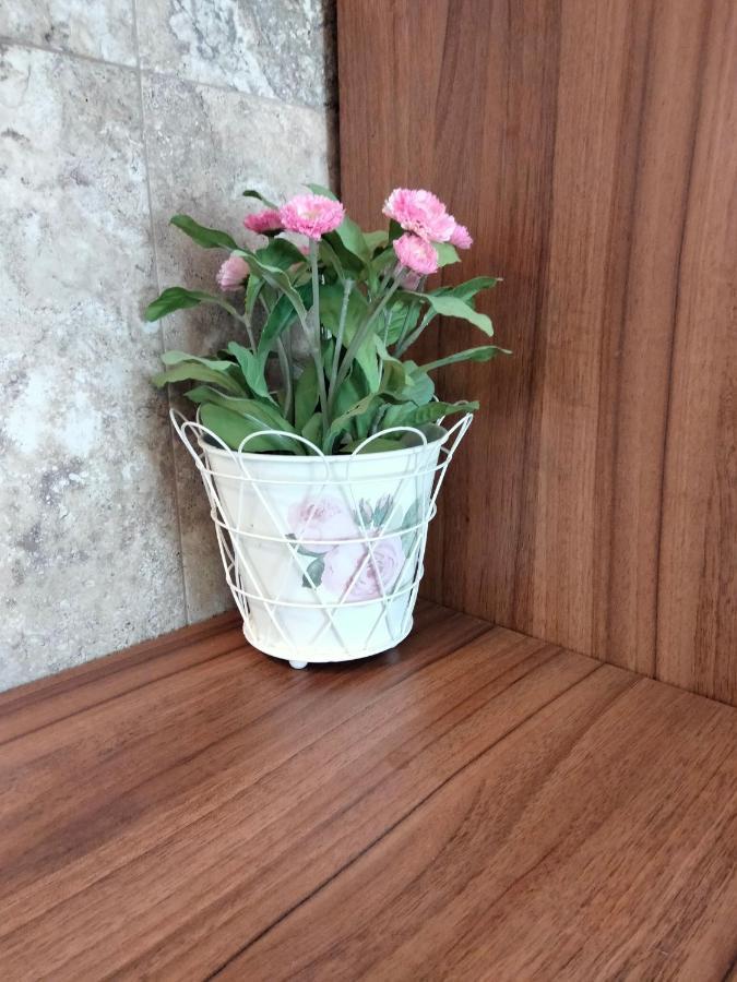 Apartament De Lux Cu Terasa Apartman Temesvár Kültér fotó